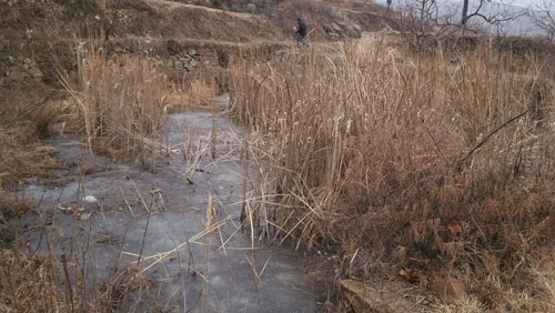 天诚测量部：烟台市沐浴村土地整理项目前期测量工作