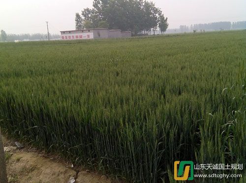 规划部：梁山县耕地质量年度更新评价外业调查