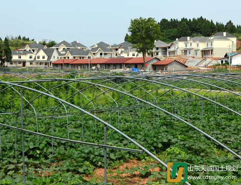 遂宁市召开会议全力推进高标准农田项目建设