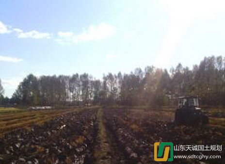 宝泉岭分公司千亿斤粮食项目建设工作正式启动