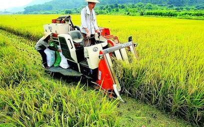 国土资源部全面启动永久基本农田划定情况专项督察