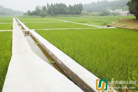 今年常德力争建设高标准农田15万亩