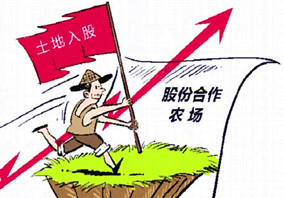 农土地入股需要防范哪些风险?