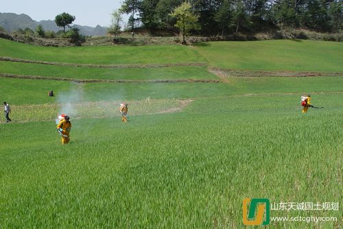 武都区农土地流转21.19万亩 改荒地位高效农田