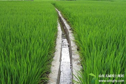 农田水利重点县沐阳县已完成80%农田水利项目建设