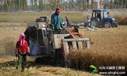 贺兰发放首笔土地经营权抵押贷款实现“零突破”