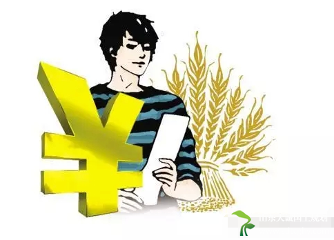 今年的农业补贴什么时候发?如何发?
