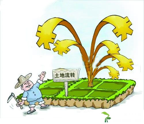 阻碍土地流转的因素有哪些?如何解决?