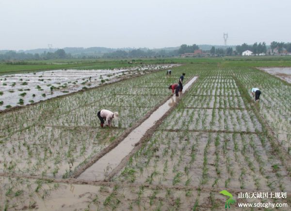 南漳举行省首批农土地抵押贷款首发仪式