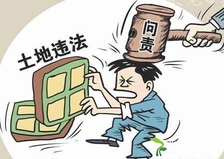 国土部新闻发布会:严查违法违规使用耕地或农田案件