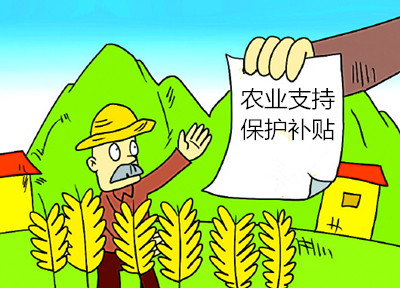 怎么发农业支持保护补贴?看权威文件!