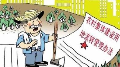 土地流转监管中存在哪些“盲点”?