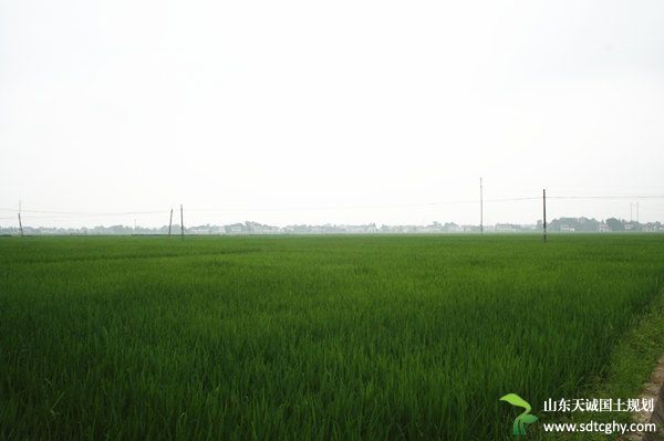 高邑县“六个创新”打造高标准农田项目精品优质工程