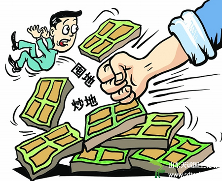国土部:加大案件查处工作力度 重点查处违法占用耕地