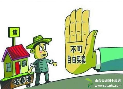需要满足什么样的条件农村宅基地才能转让?