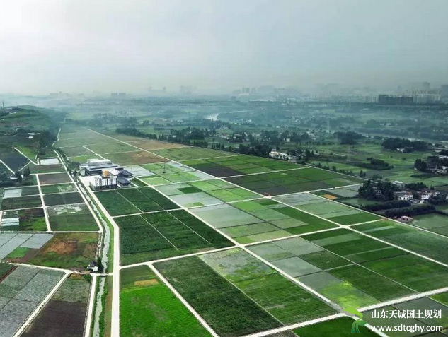 成都“预流转+土地流转履约保证保险”模式率先引入保险制度