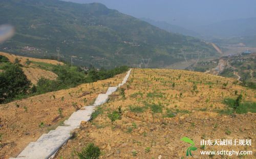奉节县农土地综合整治实现精准扶贫