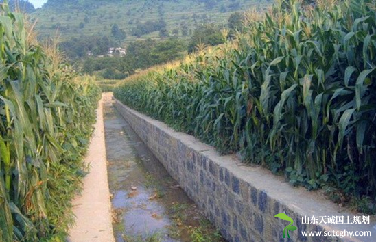 云南加强农田水利建设助推农业产业健康快速发展