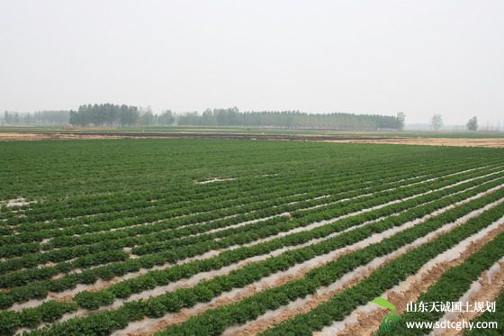 临沂印发《临沂市农村土地经营权流转交易规则(试行)》