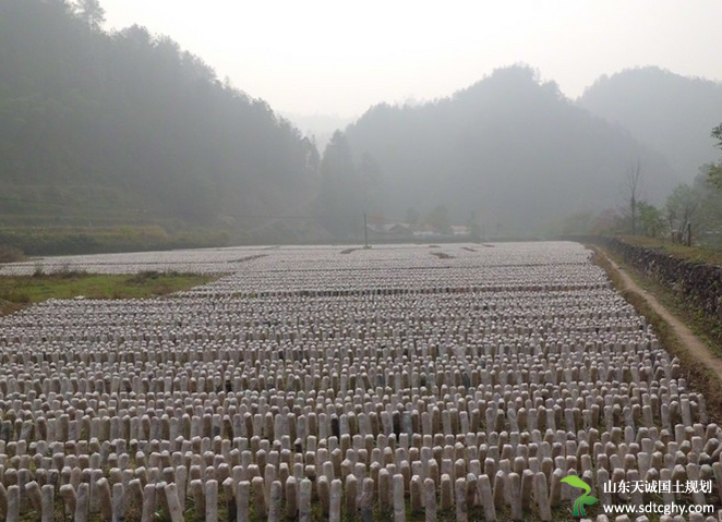 沅陵试点土地经营权抵押低款破解“三农”贷款难