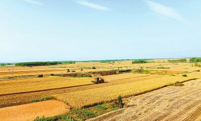 莽张镇做好农田水利建设规划确保农业生产发展