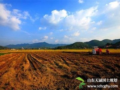 天诚规划为您解答农土地确权中常出现的问题