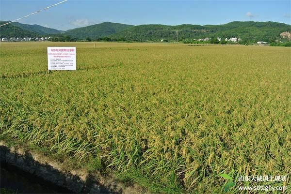 福建出台规划“十三五”将建设完成高标准农田851万亩