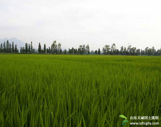 湖南发布《规划》到2020年耕地保有量不得少于5956万亩