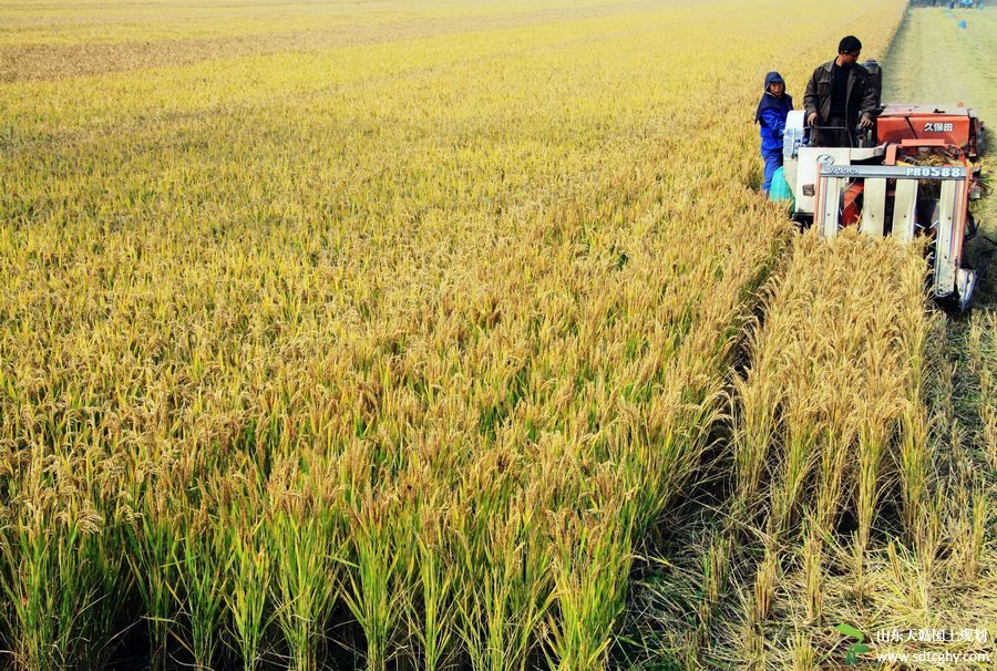 孟津专题研究永久基本农田划定暨土地规划调整完善方案