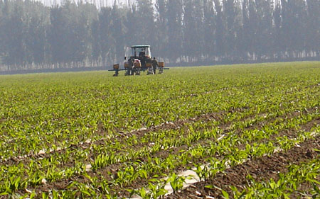 重庆落实化肥使用量零增长行动提升耕地保护与质量