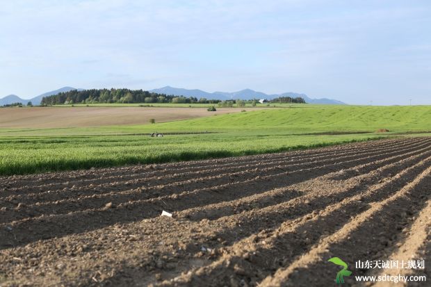 中央财政下拨3.33亿元扶持216个申报实施高标准农田项目