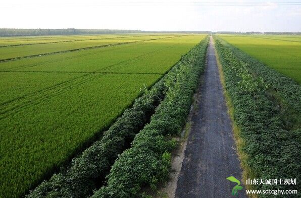 黎平县高标准农田建设项目成效显著并顺利通过县级验收