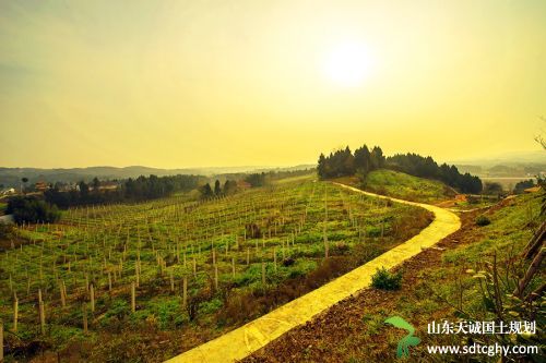 四川乌蒙山连片区域土地整治重大扶贫项目启动