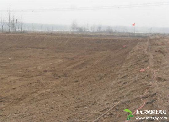 半塔镇成立协调小组积极推进高标准农田建设
