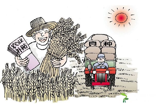 土地流转后补贴属于谁?土地流转签合同注意什么?