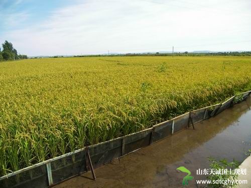 响水县农土地确权工作成效显著并发放首批土地经营权证