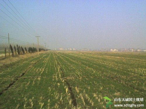 如何处理农土地流转纠纷?常州市多元化措施处解纠纷
