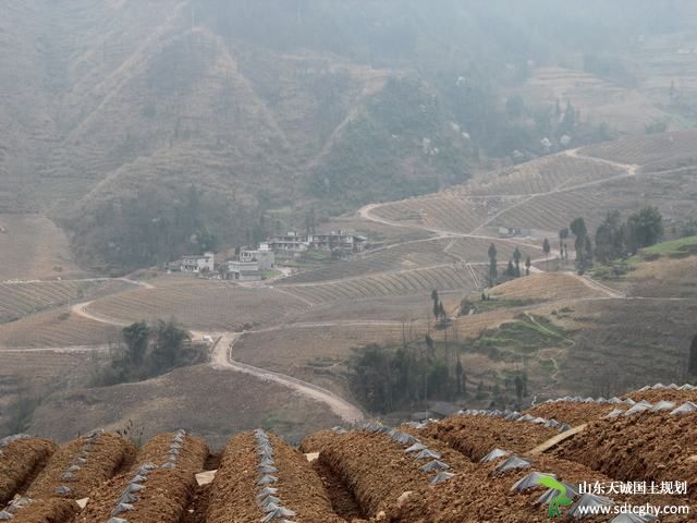 黔江多元化土地流转模式提高农土地流转率达30.7%