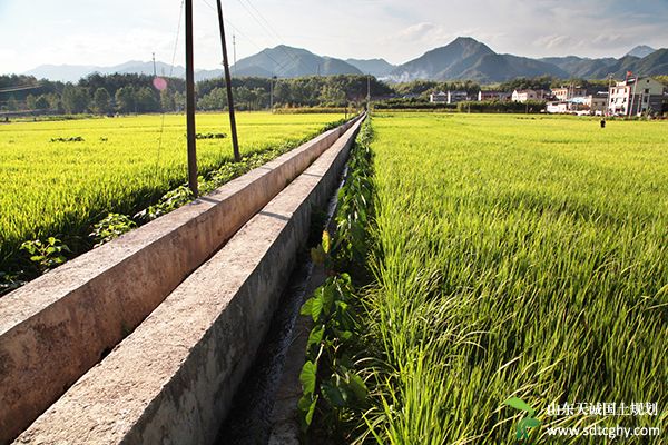 浙江印发《意见》对农田水利建设和管理工作作出部署