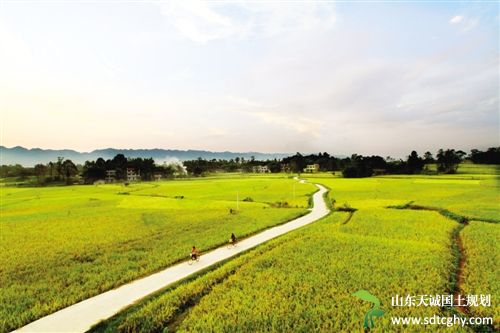 梁平县农民退出农村土地不再将土地视为“命根子”