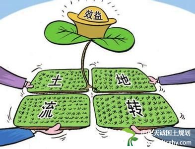 专家建议:停止农村宅基地无偿划拨 开放土地自由交易