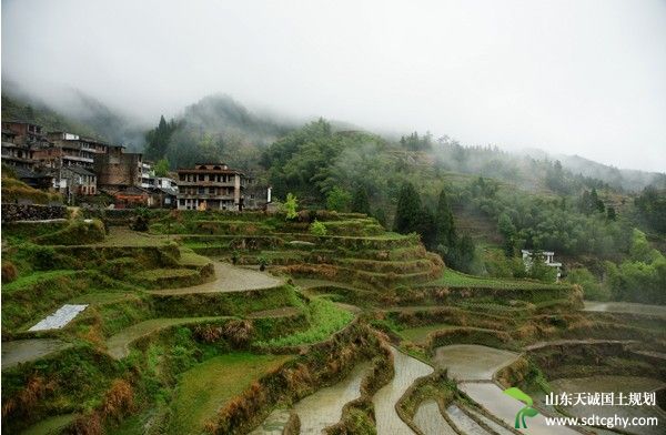 万山乡农土地流转荒山变“金山”带领农民致富快
