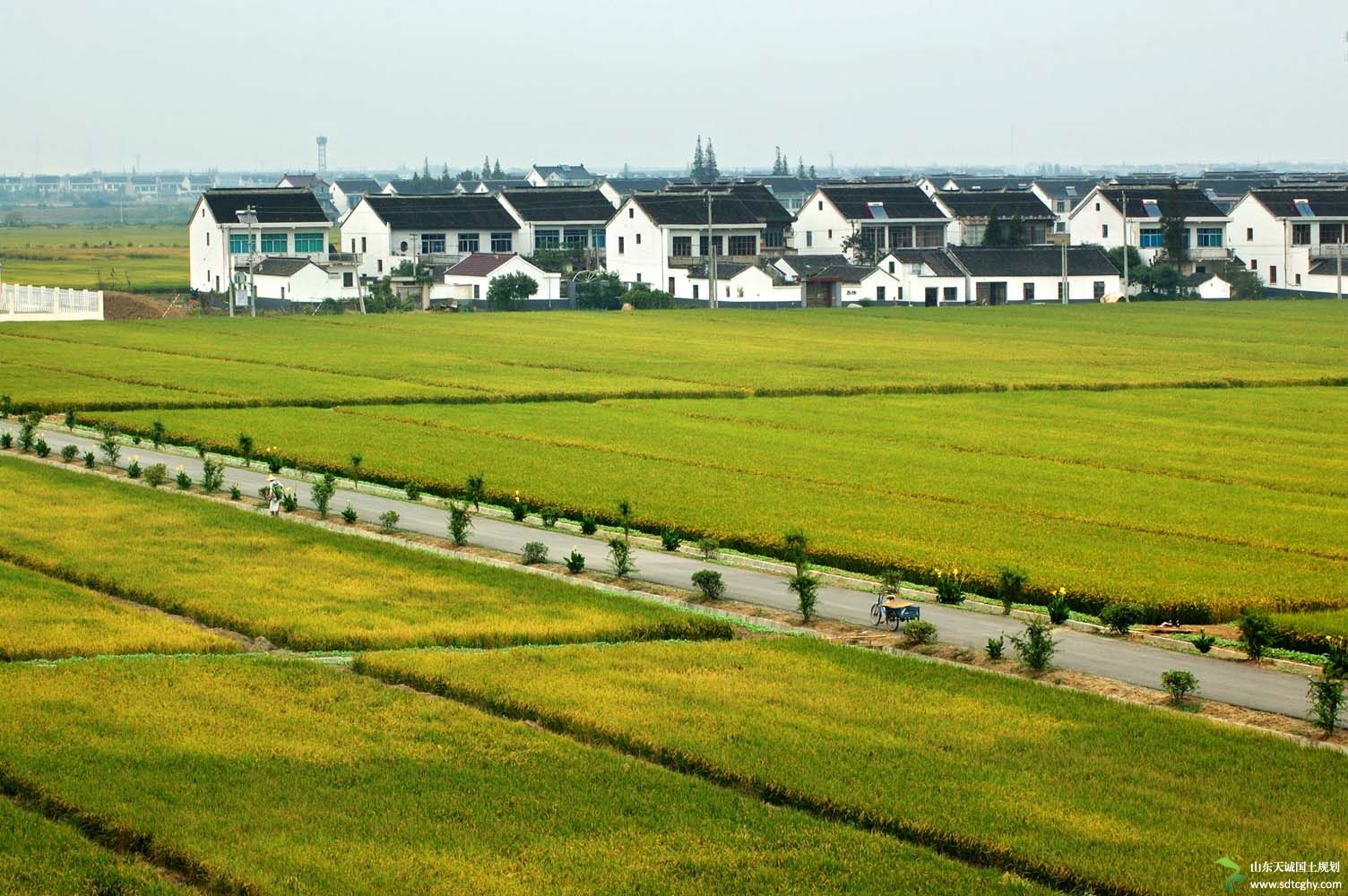 江苏农土地流转面积达3200多万亩占农户家庭承包地面积的64%
