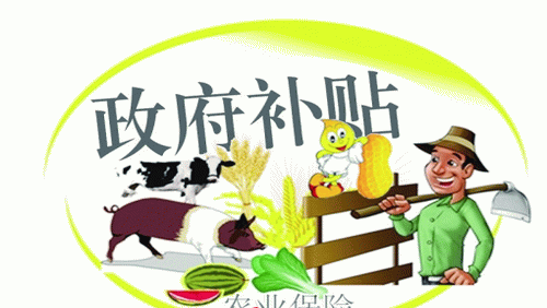 农业焦点:农土地流转后农业补贴到底归谁?