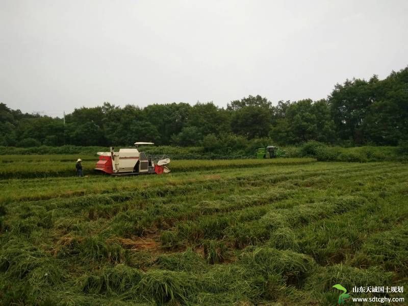 浏阳市已有51家土地股份合作社 农户农地入股实现双赢