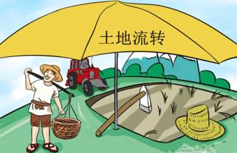 农土地流转哪方可以拿到补贴?双方都能拿到补贴