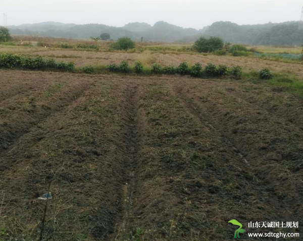 耕地不能光用不养　耕地累了也需要养