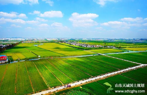 张浦镇提升农田水利工程建设 打通农田水利“最后一公里”