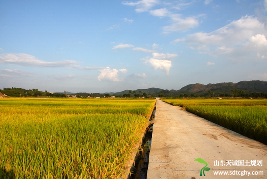 海南加强农田水利建设力争新增加和恢复灌溉面积34万亩