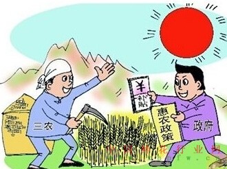 农业支持保护补贴应尽快发放到农民的手中